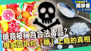 糖竟被稱為合法毒品？怎麼回事？專家告訴你「糖」上癮的真相【57健康同學會】｜隋安德 許晶晶 江守山 謝宜芳 麥若愚 Summer Paul [upl. by Eedyak]