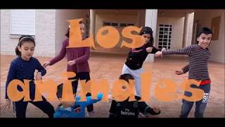 Rap Los animales [upl. by Kcirdes]