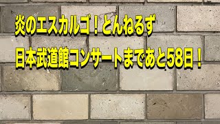 🔥炎のエスカルゴ🎤とんねるず、日本武道館コンサートまであと58日！ とんねるず日本武道館歌謡曲 がんばりMAXくん ぶっ壊せMagazine がライブ配信中！（第41話） [upl. by Anaib]