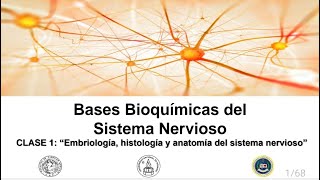 Bases bioquímicas del sistema nervioso Clase 1 Introducción [upl. by Nygem]