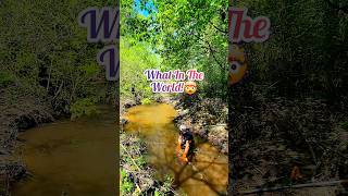 How In The World Beaver Dam Removal shorts [upl. by Usanis]