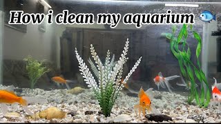 How i clean my aquarium 🐟Tips and tricks for aquarium cleaning 🎏 [upl. by Ruomyes427]