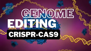 ECOM 6349  Student Participations  CRISPRCas9 and Genome Editing [upl. by Ecinue]