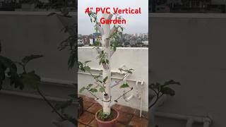 Vertical Gardening IDEA verticalgardenideas gardening gardeningplants garden verticalgarden [upl. by Rraval]