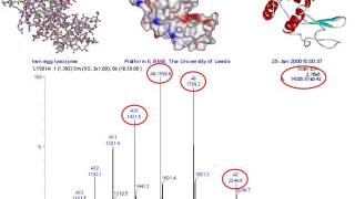 Mass spectrometry for proteomics  part one [upl. by Auos]