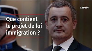 Que contient le projet de loi immigration [upl. by Hpesoj385]