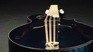 Weber Mandolins Octave Mandolin Video with Bruce Weber [upl. by Aniat730]