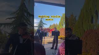 Wedding violin music [upl. by Aidyl122]