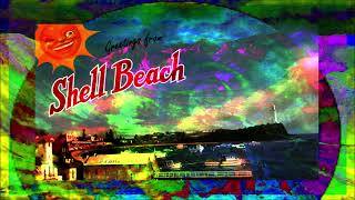 June 3 2029 Shell Beach Tripgeist [upl. by Chaunce683]