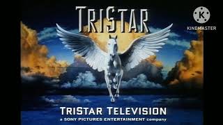 TriStar Television AnimationTriStar Television Logo 19921999 For blooj249 [upl. by Euqinaj612]