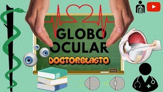 GLOBO OCULAR ANATOMÍA Y FISIOLOGÍA 13 [upl. by Aieki]