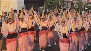 神楽坂みずき連 第50回神楽坂まつり 阿波踊り大会 2024年7月27日 [upl. by Condon]