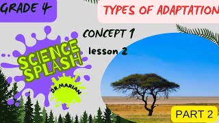 Adaptation in plantssciencegrade4 firstterm types of adaptation concept 1lesson2 part2 [upl. by Adlin]