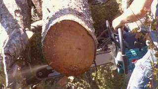 Makita 90cc Chainsaw First Cuts [upl. by Kwasi]