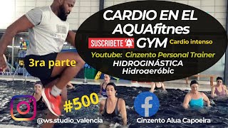 CARDIO EN EL AGUA  AQUAFITNESS AQUAGYM E HIDROGINÁSTICA  Parte 3 CINZENTO PERSONAL TRAINER [upl. by Eserehc]