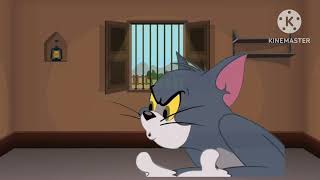 Tom And Jerry Hindi Dubbing Hindi Cartoon [upl. by Palila806]