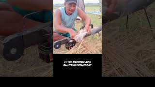 petani kreatif shorts petani [upl. by Eifos]