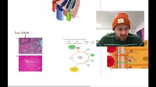 Excretion Mindmap OCR A Level Biology Module 52 [upl. by Anolla]