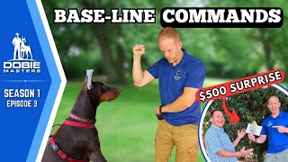 Four Critical Commands to Teach Every Doberman  Dobie Masters  S1E3 [upl. by Miza]