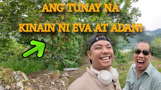 Ang Prutas Na Bumihag Kay Eva at Adan [upl. by Morrill]