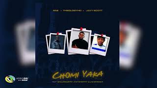 SNE Theology HD amp Jay Scott  CHOMI YAKA Remix Official Audio [upl. by Yenahs]