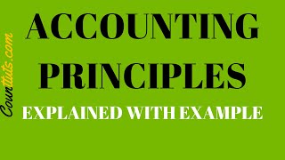 Accounting Principles  Explained with Examples [upl. by Aurora]