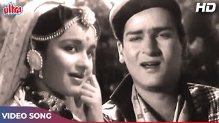 Dil Deke Dekho 1959 Songs Yaar Chulbula Hai  Shammi Kapoor  Mohd Rafi Lata Mangeshkar  Asha P [upl. by Sokil266]