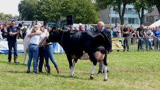 Botlek TVLINQ Media  63e Fokveedag met fraai weer opnieuw een groot succes  Hellevoetsluis 2023 [upl. by Ttnerb]