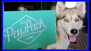 HUSKY EATS PIZZLE PUFFS  PawPack UnBoxing [upl. by Millman]