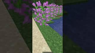 【Minecraft JE】松明を持って歩いた場所に道を敷くデータパック shorts [upl. by Isabea]