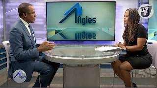 Dr Nigel Clarke  Jamaicas Former Minister of Finance  TVJ All Angles [upl. by Bobker]