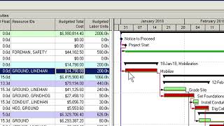 How To Use Resources in Primavera P6 [upl. by Airdnas]