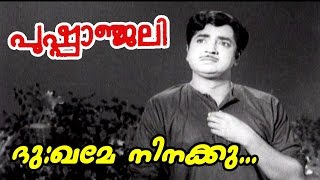 Dukhame Ninakku  Pushpanjali  Malayalam Movie Song [upl. by Nhguav]