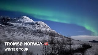 TROMSØ NORWAY 🇳🇴 WINTER TOUR CHASING NORTHERN LIGHTSSILENT WHALE WATCHING amp MORE [upl. by Ramo718]