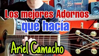 🎶Adornos Estilo Ariel Camacho en Tono de Re GUITARRA estilo Campirano [upl. by Iggie]