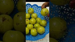 quotAn amla a day keeps a doctor awayquotAchrya Manish ji famous amla benefits shorts amla amlakefayde [upl. by Sirmons]