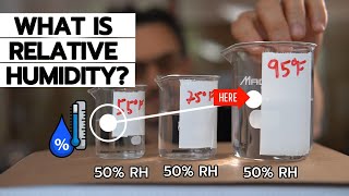 What Is Relative Humidity  Relative Humidity Explained [upl. by Prosperus]