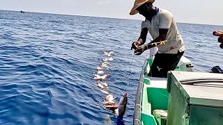 Deep Sea Fishing for Rosy Snapper [upl. by Llimaj]