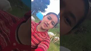 Rashmi chori garhwali song status ❤️🤩 miss pahadi ❤️ kumauni song shorts viral [upl. by Tenom]