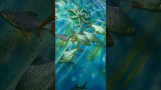 dreamnsparkle youtubeshorts shorts trending viral aquarium [upl. by Lahsram]