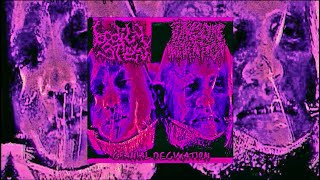 BODILY STEW amp PUTRESCINE INHALATION  CRANIAL DECIMATION FULL SPLIT 2023 [upl. by Brodeur723]