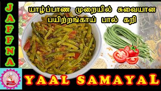 யாழ்ப்பாணத்து பயிற்றங்காய்கறி  Jaffna Style Long Beans Curry in Tamil  Payathangai curry [upl. by Nelram]