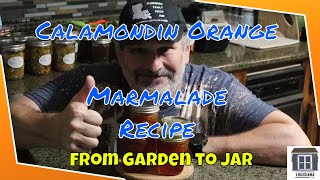 Calamondin Orange Marmalade Recipe From Garden to Jar [upl. by Etterraj376]