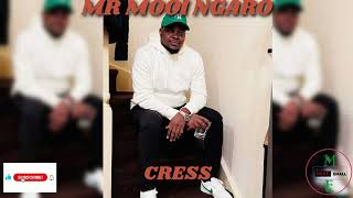 MR MOOI NGARO CRESS [upl. by Florin]