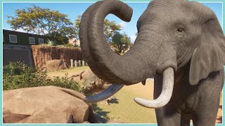 African Elephant Habitat  Planet Zoo Speed Build [upl. by Otti458]