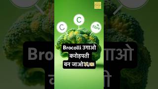 Dekiye kaise ugaate hai Brocolli shorts farming farmers agriculture facts hindi songs [upl. by Katie806]