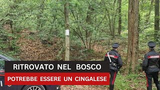 Il cadavere con la testa mozzata ritrovato nel bosco una banconota per risolvere il giallo [upl. by Edana]