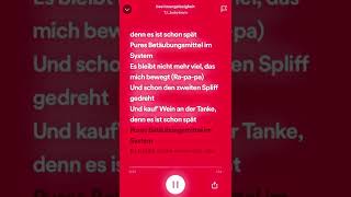 besinnungslosigkeit sped 🆙 lyrics [upl. by Notrem]