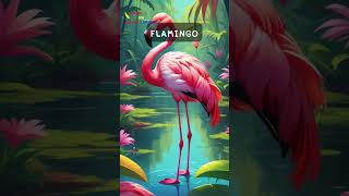 Flamingo [upl. by Chariot598]