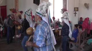 danza de matachines de pueblo viejo en la entrada de san juan [upl. by Hess]